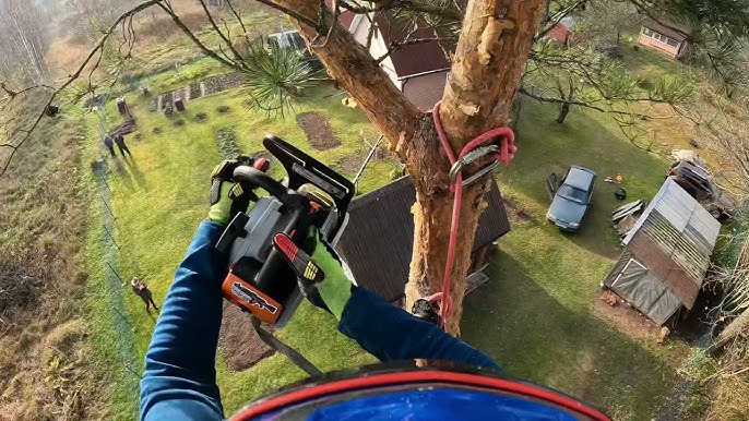 Élagage sécurisé à Beynac