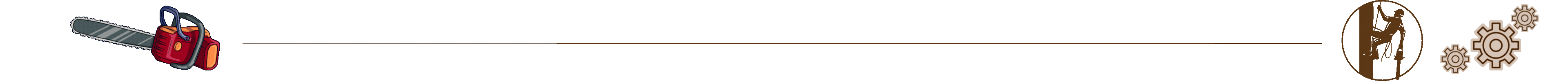 Bienvenue chez Mirando Elagueur Expert à Limoges