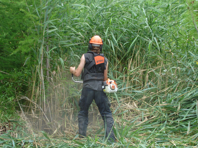 Débroussaillage professionnel à Beynac