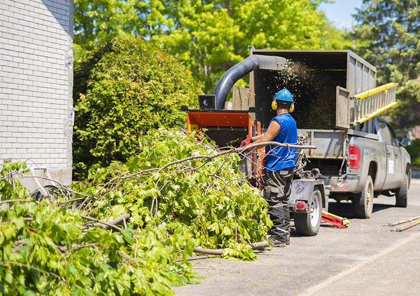 Broyage et évacuation des déchets verts à Beynac