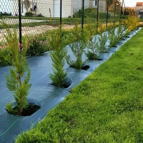 Installation de gazon synthétique à Limoges (87000)